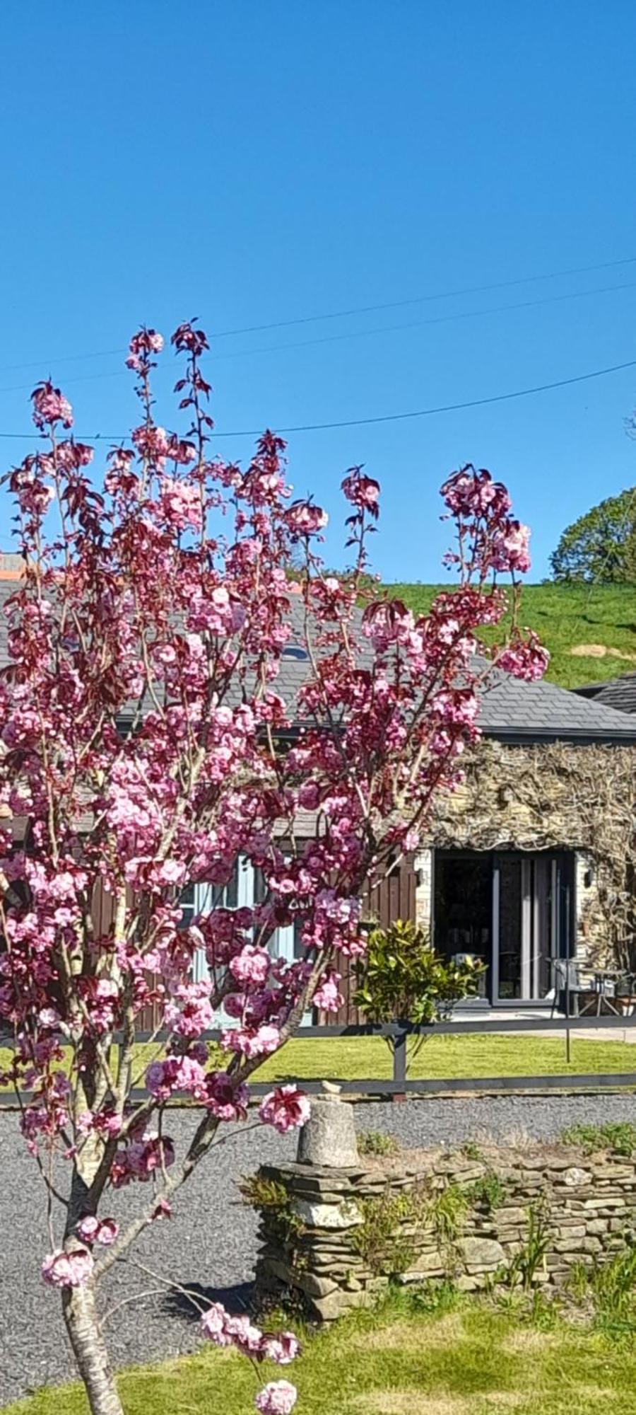 Wisteria Barn, Trewethen, St Teath, Nr Port Isaac Vila Saint Teath Exterior foto